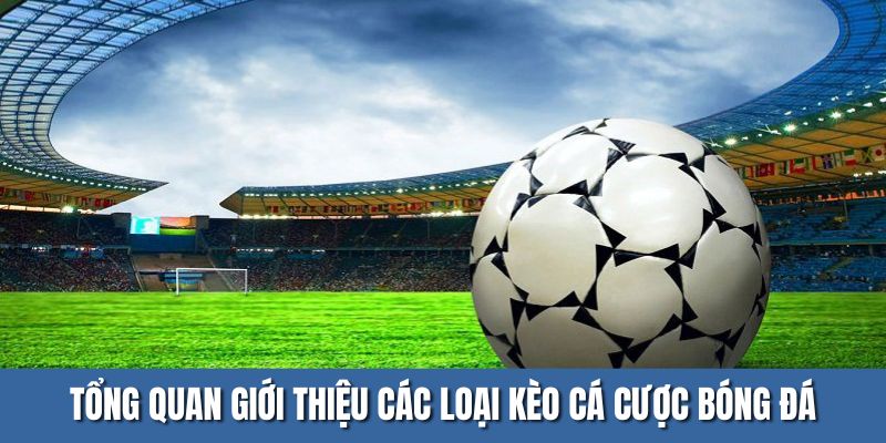 Tổng quan giới thiệu các loại kèo cá cược bóng đá
